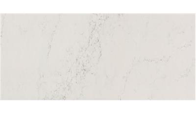 PC-Nautilus Private Collection