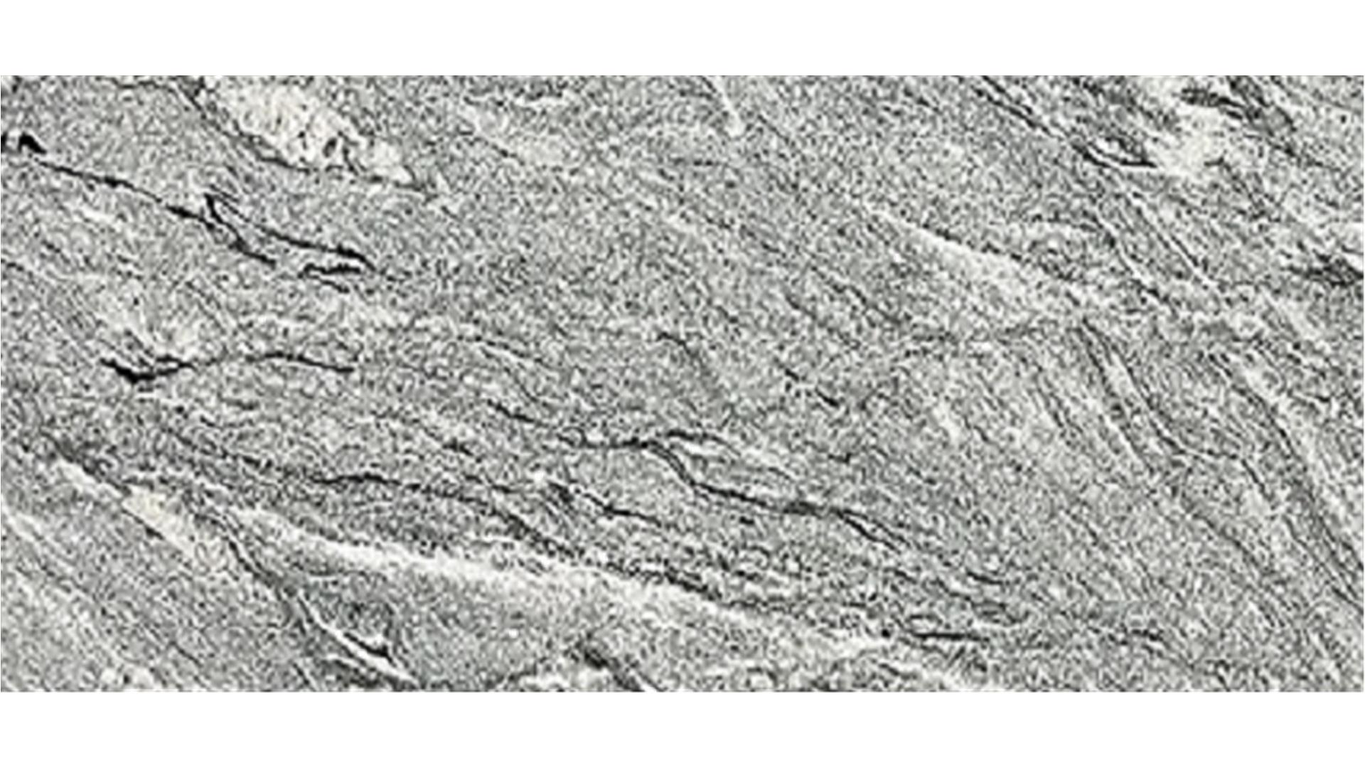 Viscount White Dual RG Stone Slabs