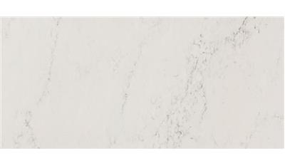 PC-Nautilus Private Collection