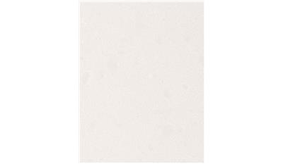 Organic White 4600 Caesarstone