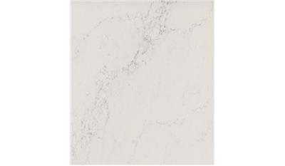 PC-Nautilus Private Collection