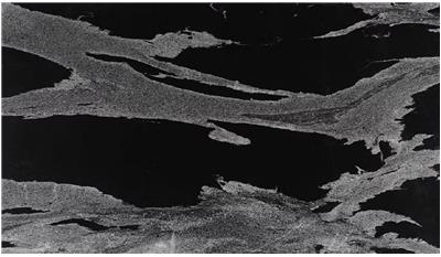 Python Black Leathered RG Stone