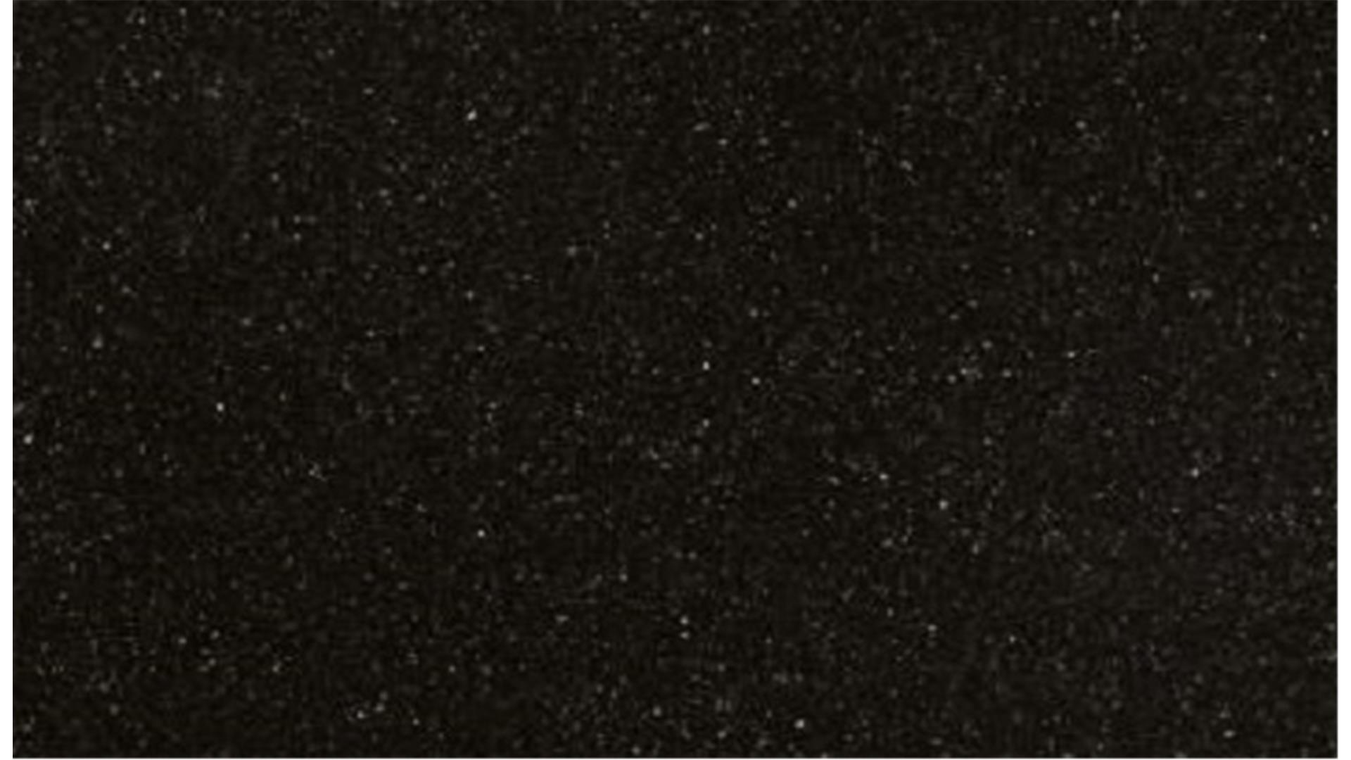 Black Coral RS306 Hanstone Slabs