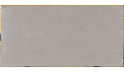 Bianco Pepper 2cm Standard Size Polished Quartz MSI