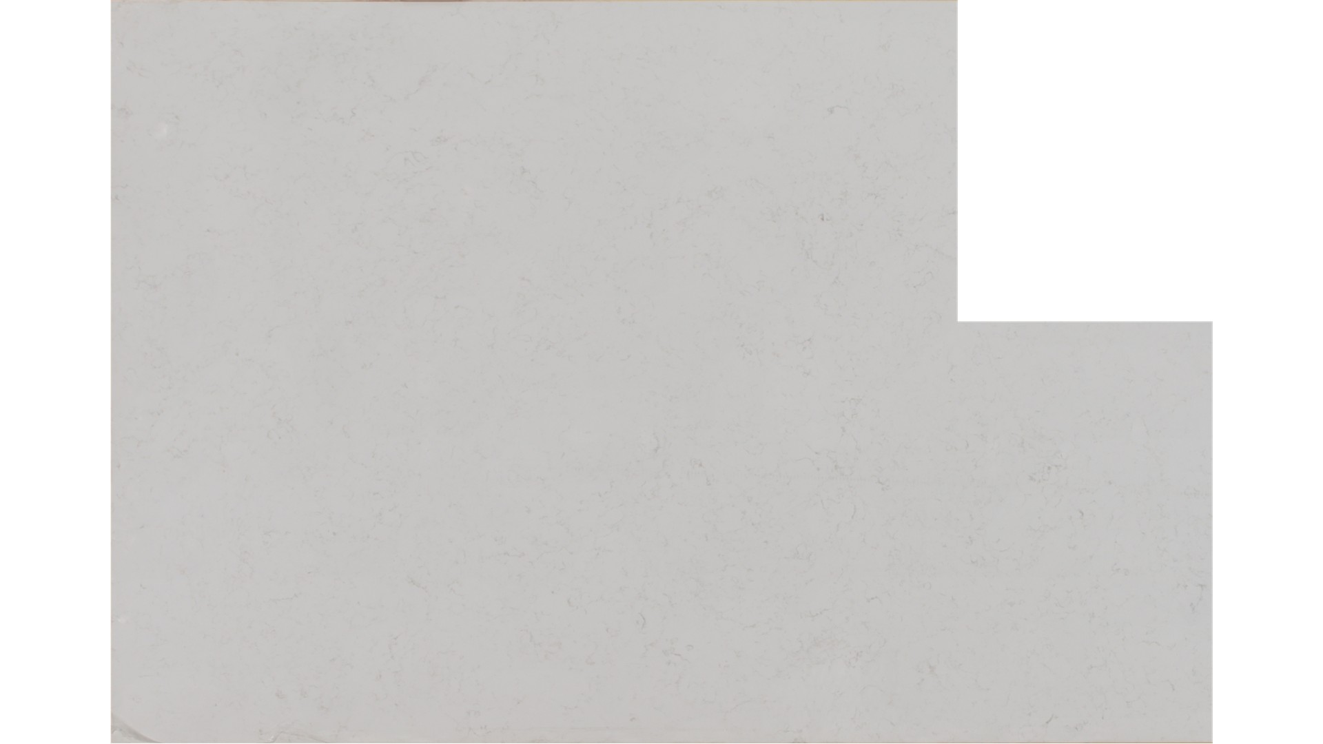 Carrara Bellezza 2cm Standard Size Polished Quartz Bedrosians Slabs
