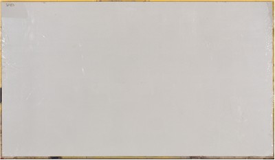 Frost White 3cm Standard Size Polished Quartz MSI