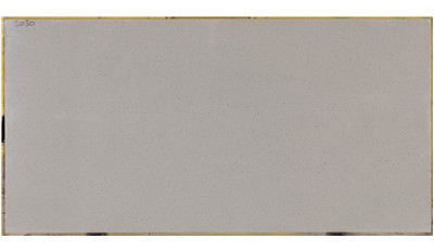Bianco Pepper 2cm Standard Size Polished Quartz MSI