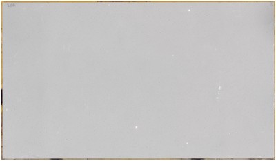 Sparkling White 2cm Jumbo Size Polished