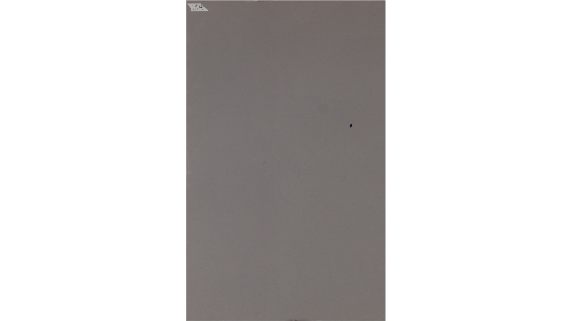 Fossil Gray 2cm Standard Size MATTE Quartz MSI Slabs