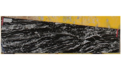 Panther 3cm Standard Size Polished