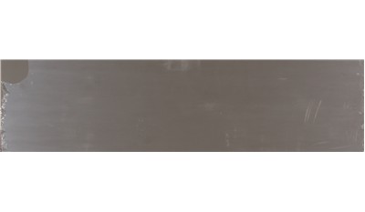 Ammonite Grey 2cm Standard Size VELVET