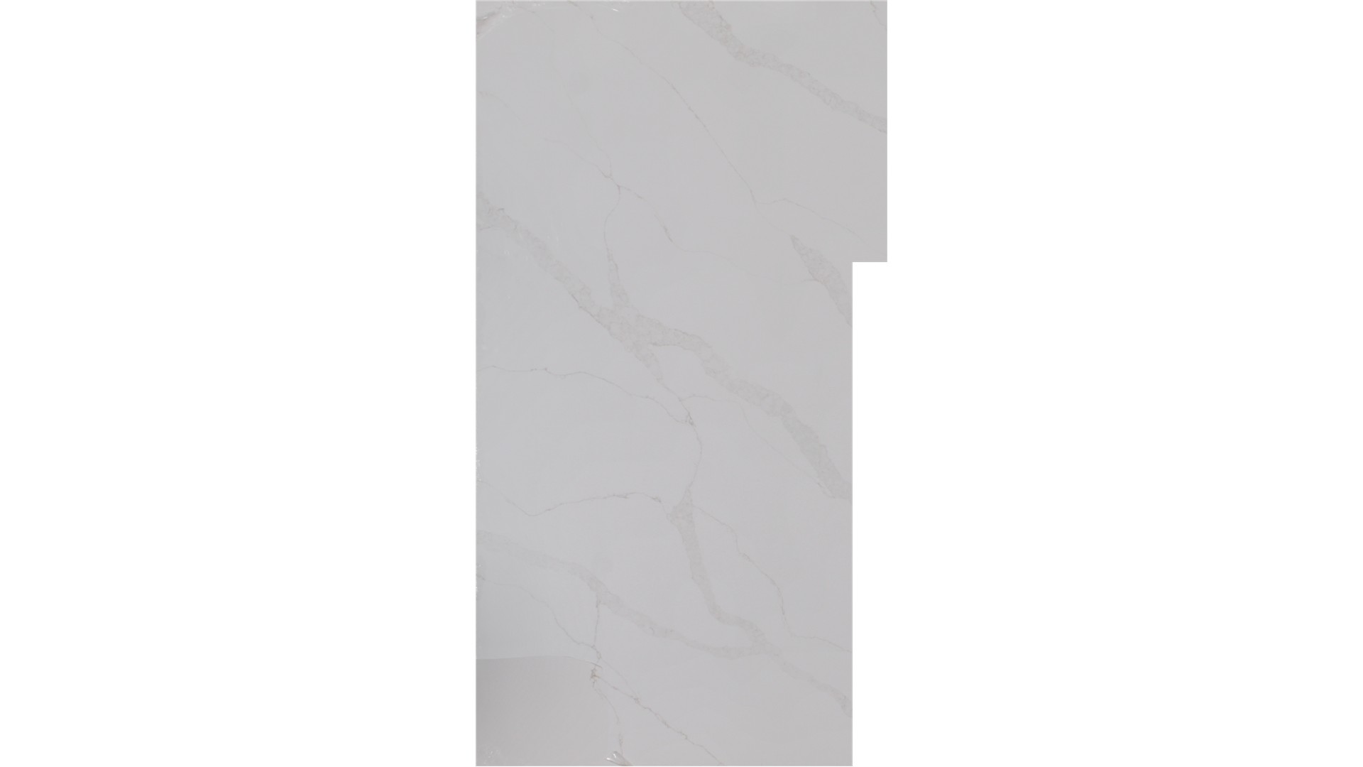 Calacatta Elysio 3cm Standard Size Polished Quartz MSI Slabs