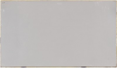 Frost White 3cm Standard Size Polished Quartz MSI
