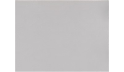 Elusive White 3cm Standard Size Polished