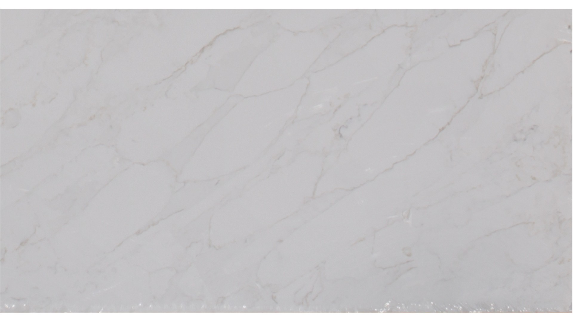 Calacatta Premata 3cm Jumbo Size Polished Quartz MSI Slabs