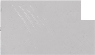 Carrara Roma 2cm Standard Size Polished Quartz Daltile