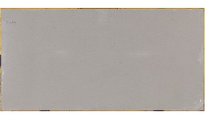 Bianco Pepper 2cm Standard Size Polished Quartz MSI