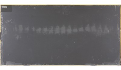 Macabo Gray 2cm Standard Size Polished Quartz MSI