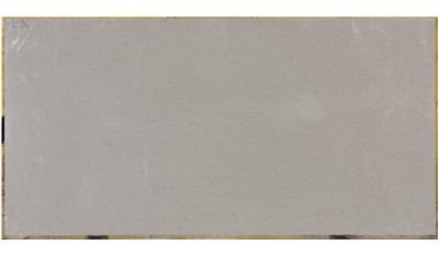 Bianco Pepper 2cm Standard Size Polished Quartz MSI