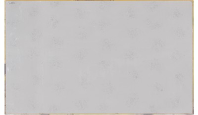 Carrara Marmi 2cm Jumbo Size Polished Quartz MSI