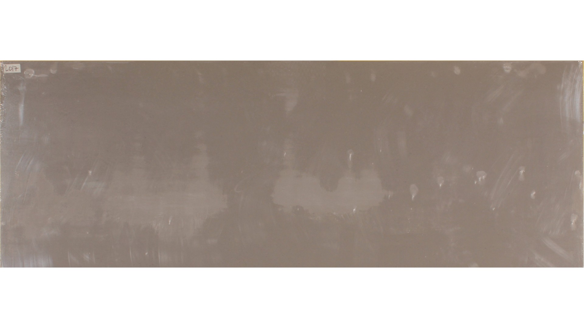 Fossil Gray 2cm Jumbo Size Polished Quartz MSI Slabs