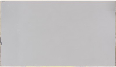 Frost White 2cm Jumbo Size Polished Quartz MSI