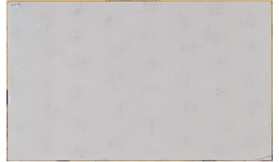 Carrara Marmi 2cm Standard Size Polished