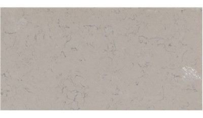 Carrara Mist 2cm Standard Size Polished Quartz MSI