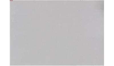 Frost White 2cm Jumbo Size Polished Quartz MSI