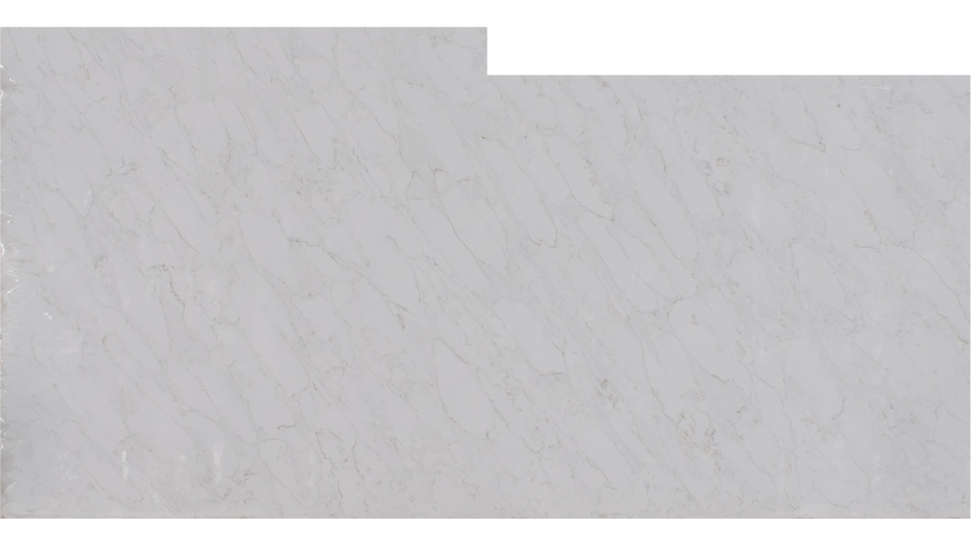 Calacatta Premata 2cm Jumbo Size Polished Quartz MSI Slabs