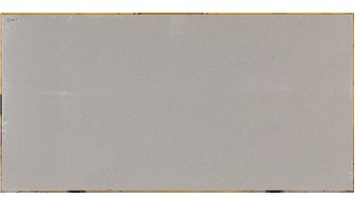 Bianco Pepper 2cm Standard Size Polished Quartz MSI
