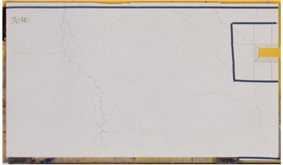 Calacatta Miraggio Cove 3cm Standard Size Polished Quartz MSI