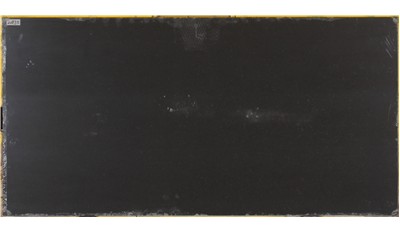 Manatee 2cm Standard Size Polished