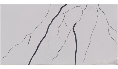 Terra Noir(Lux Noir) 2cm Standard Size Polished Quartz Pental