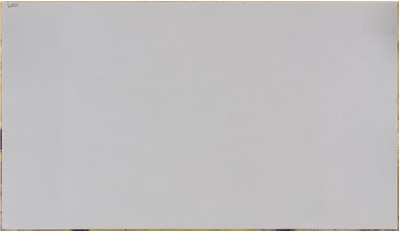 Frost White 2cm Jumbo Size Polished Quartz MSI