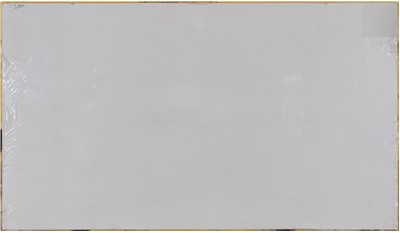 Frost White 3cm Jumbo Size Polished Quartz MSI