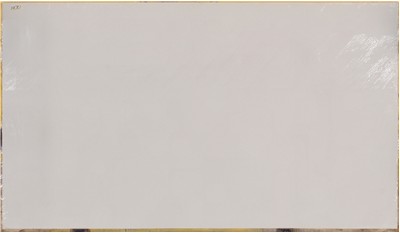 Frost White 2cm Standard Size Polished Quartz MSI
