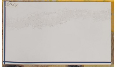 Calacatta Stillstorm Quartz Caesarstone