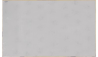 Carrara Marmi 2cm Jumbo Size Polished Quartz MSI