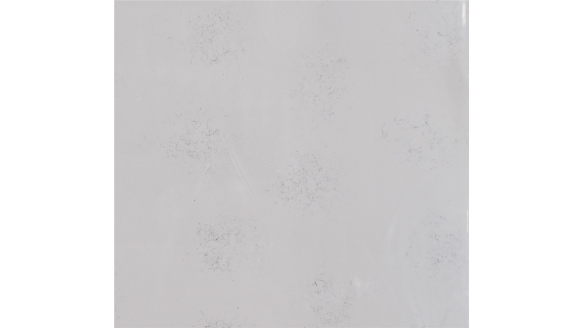 Carrara Marmi 2cm Standard Size Polished Quartz MSI Slabs