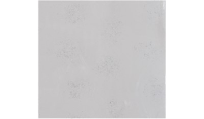 Carrara Marmi 2cm Standard Size Polished Quartz MSI