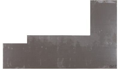 Fossil Gray 2cm Jumbo Size Polished Quartz MSI