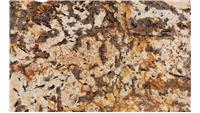 Splendor Gold (Gr) Granite