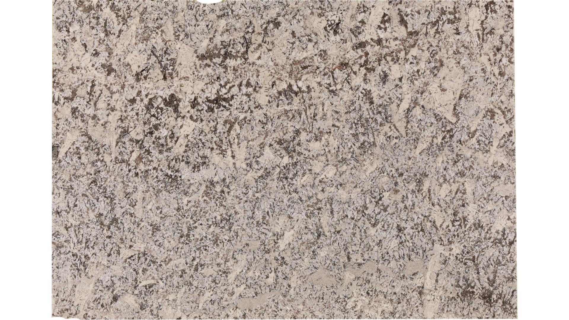 Bianco Antico (Gr) Granite Slabs