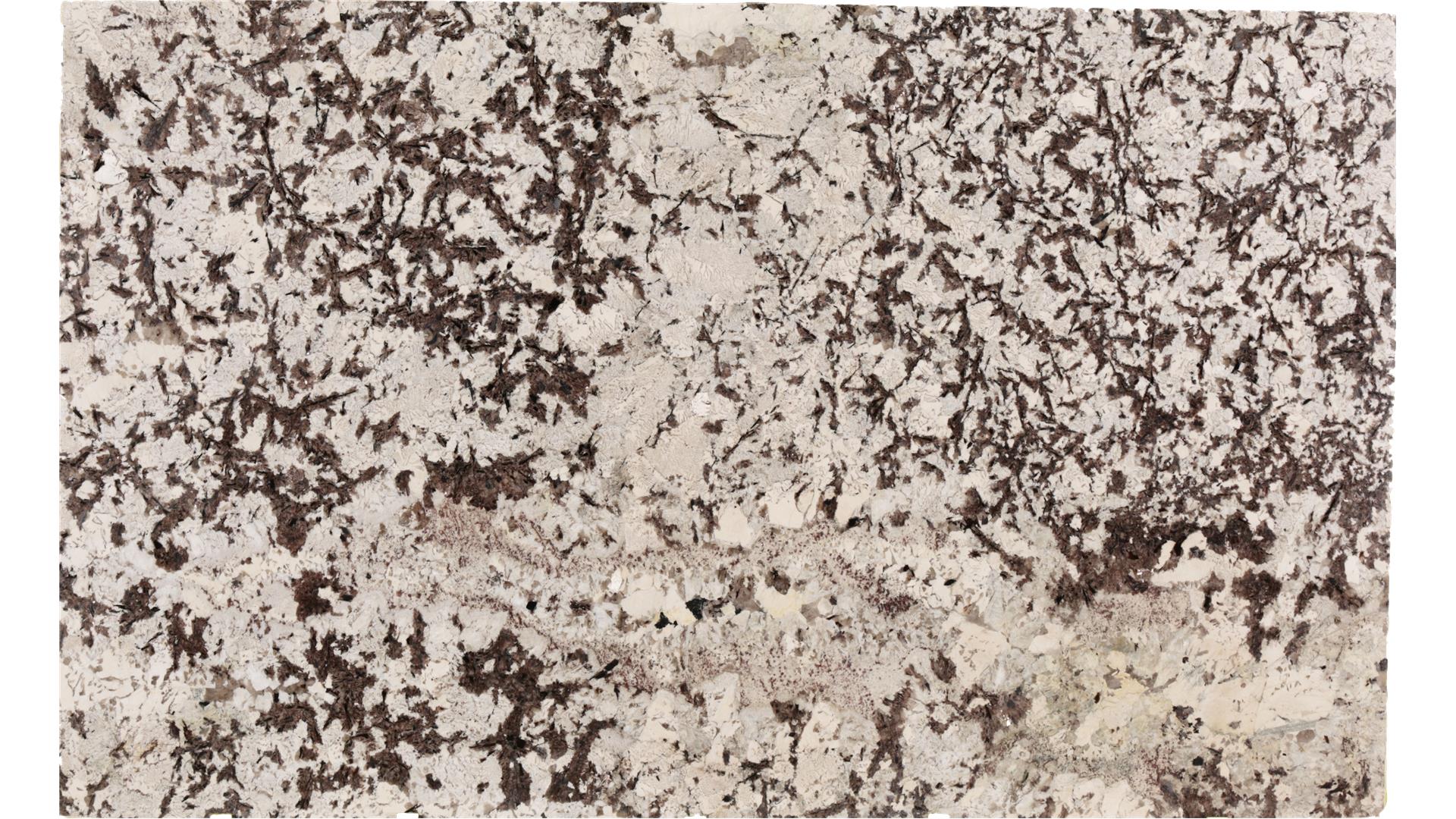 Everest White (Gr) Granite Slabs
