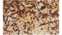 Splendor Gold (Gr) Granite
