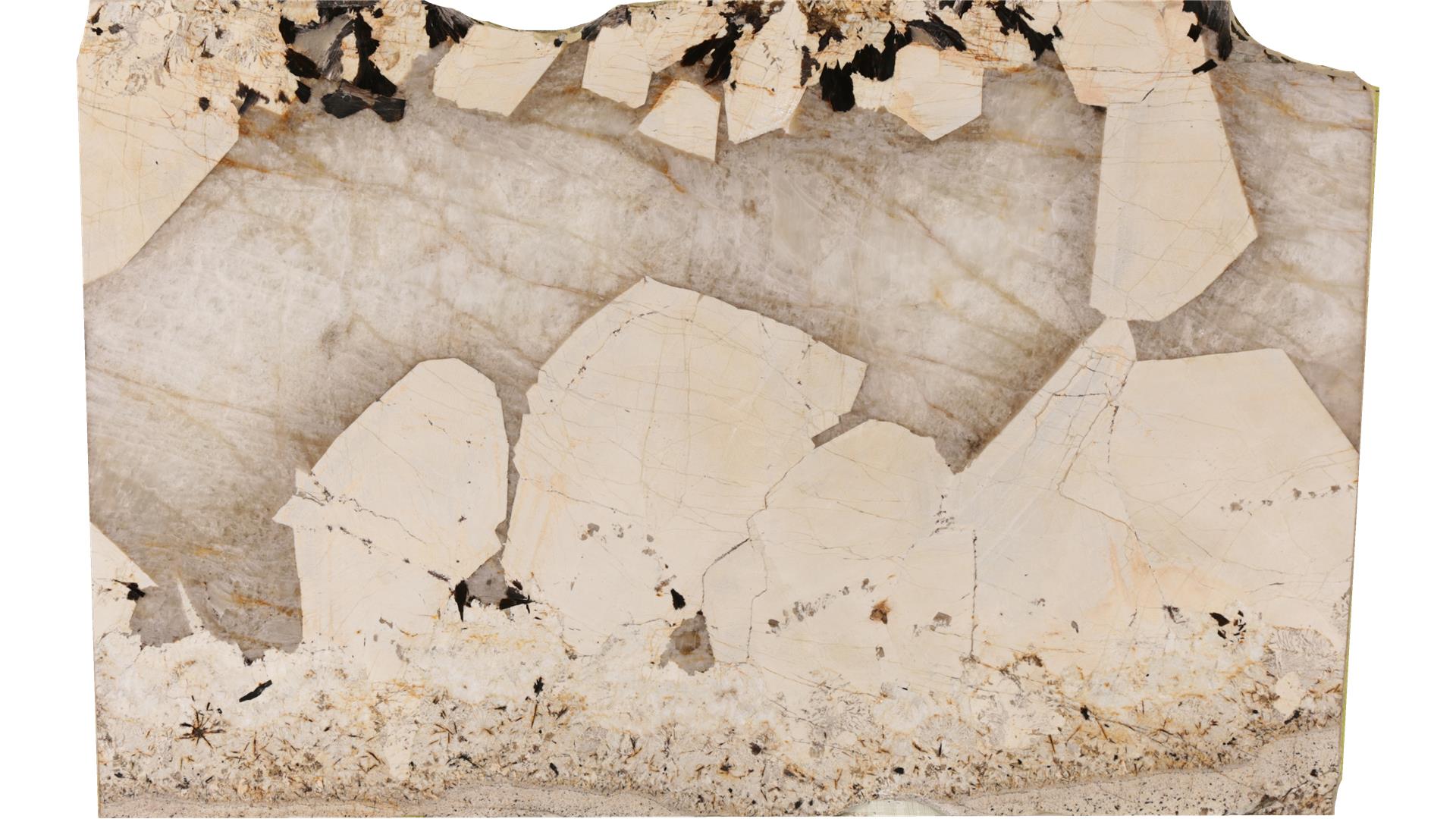 Patagonia (Gr) Granite Slabs