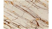 Roma Imperial (Qzz) Quartzite