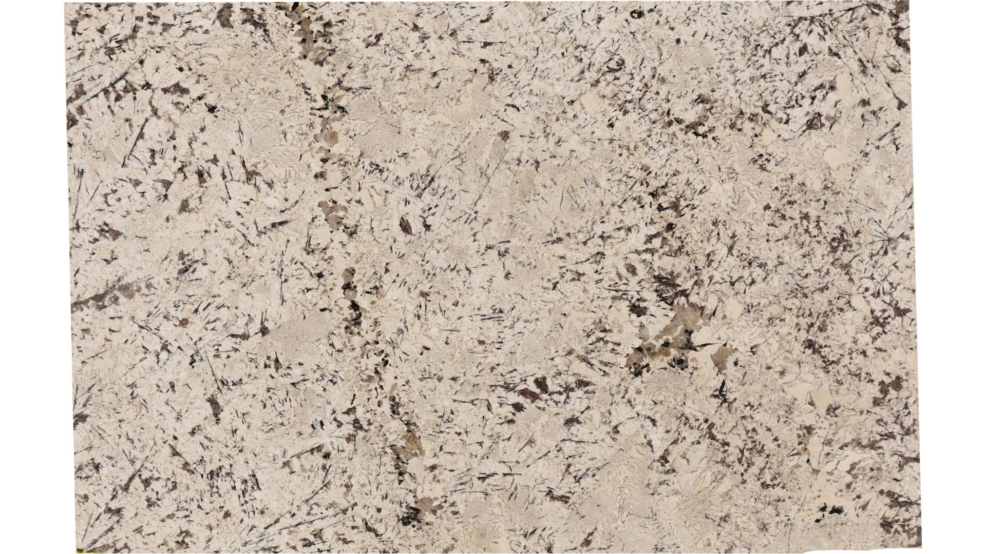 White Persia (gr) Granite Slabs