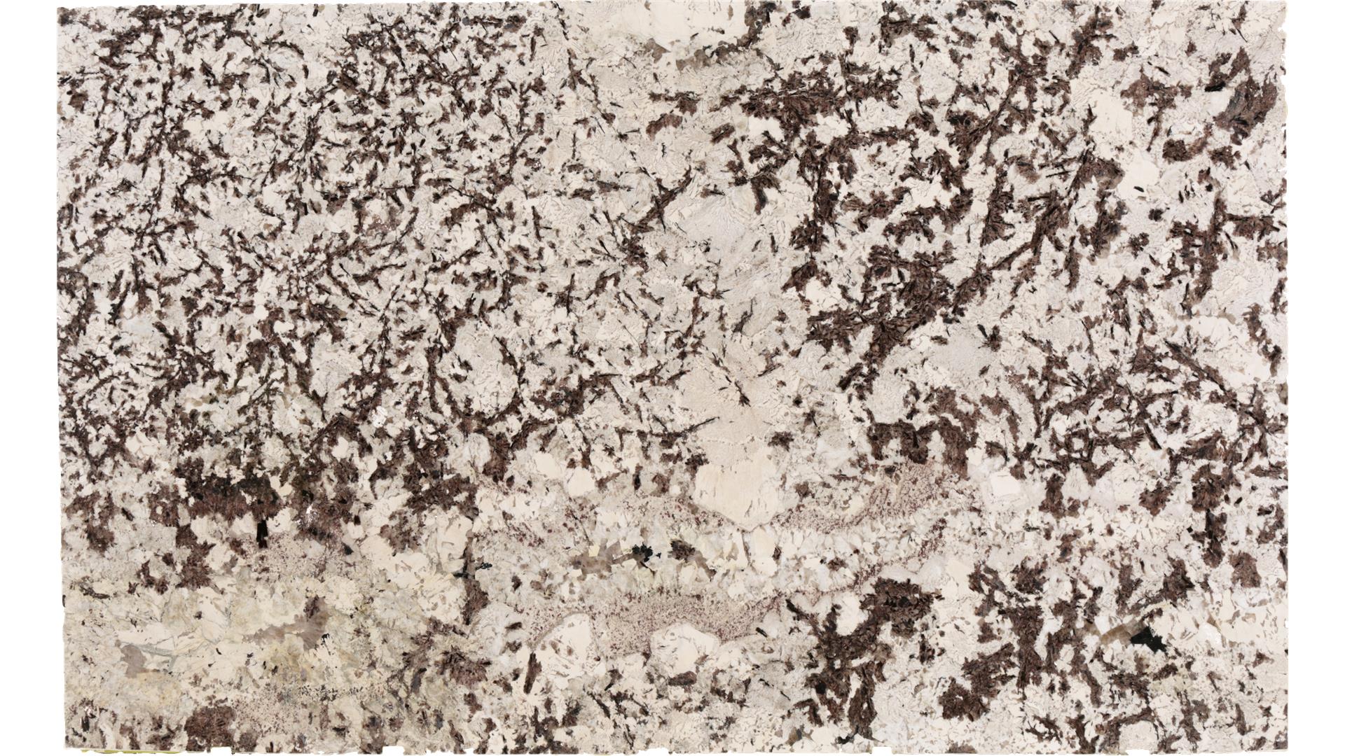 Everest White (Gr) Granite Slabs